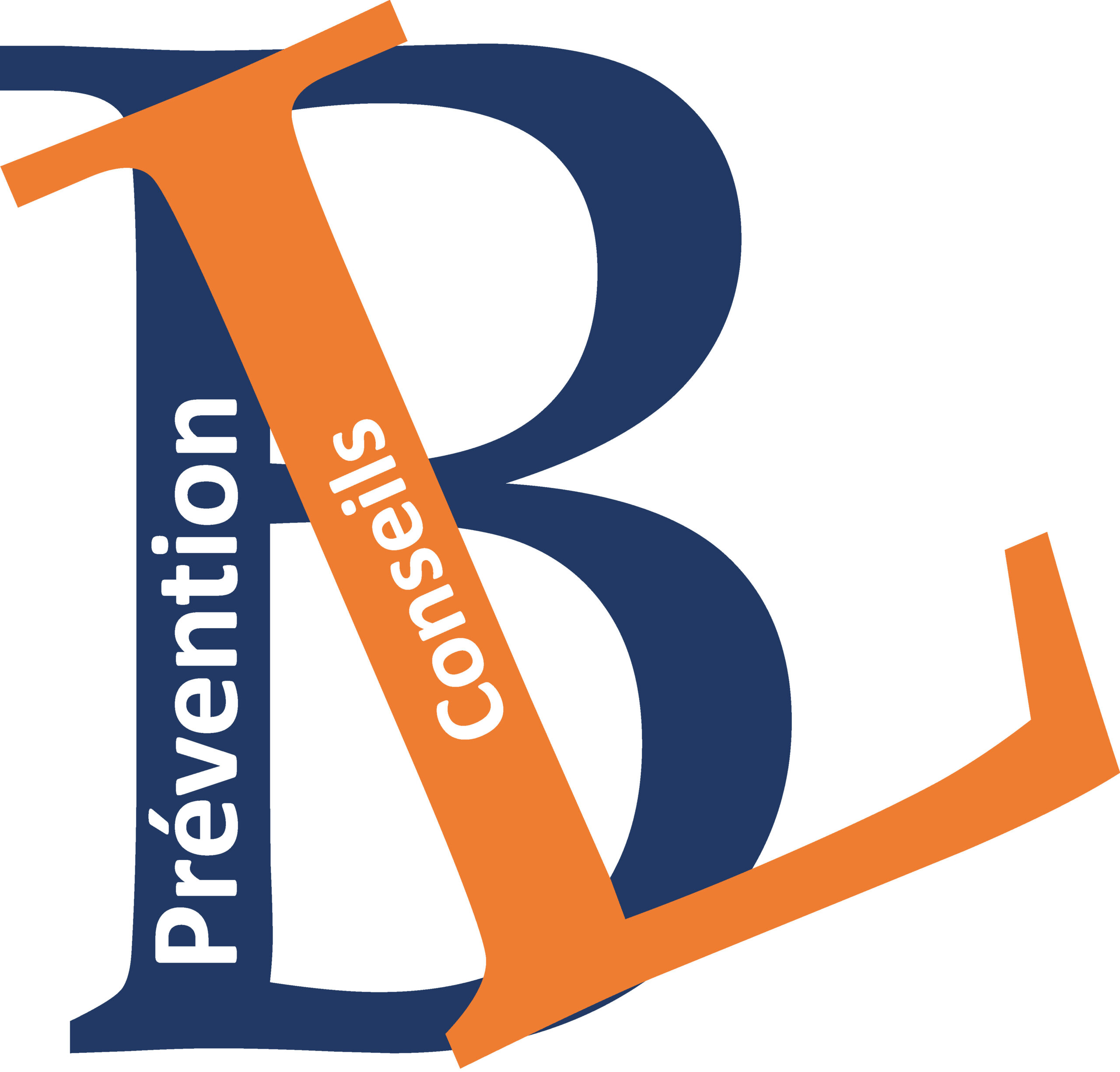 LOGO BL CONSEILS